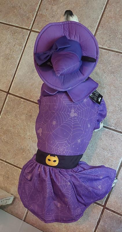 The cutest little witch ever!