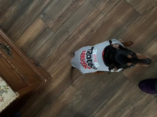 My Little Trouble Maker Zeus!!!