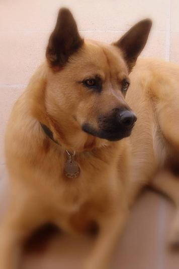 My Lovely Girl!
