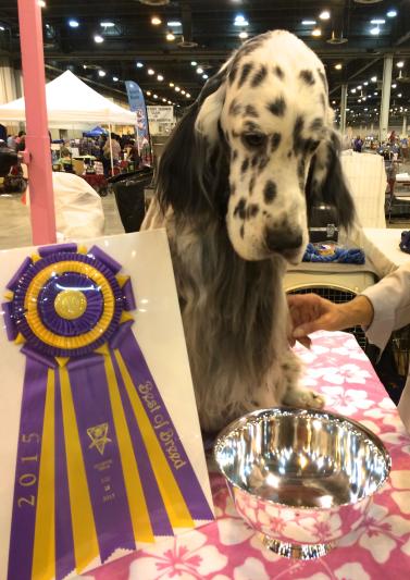 John Doe winning BISS