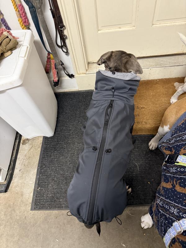 Frisco All Weather Bonded Dog Suit with Knit Snood