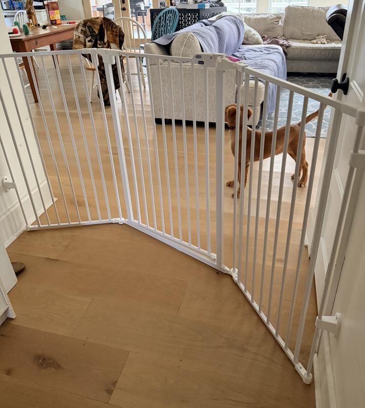 FRISCO Steel 3-Panel Configurable Gate, 41-in Height, White - Chewy.com