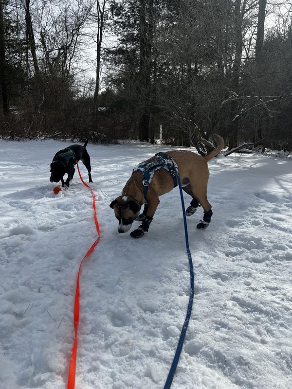 MUTTLUKS Original FleeceLined Winter Dog Boots, 4 count, Black, XXX