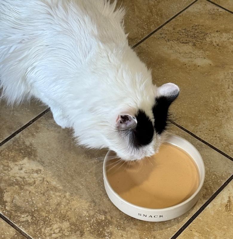 Cuddles is enjoying!