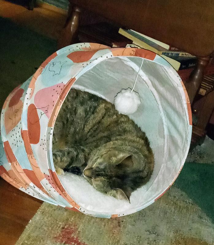 FRISCO Foldable Covered Canopy Cat Bed Calico Cat reviews Chewy