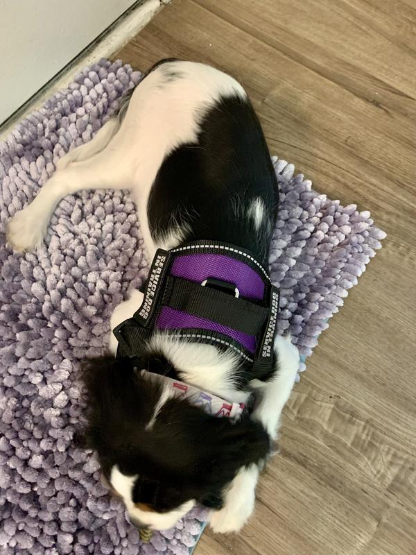 Industrial Puppy Service Dog Vest Harness with 2 Reflective Service Dog Patches & 50 ADA Cards, Purple