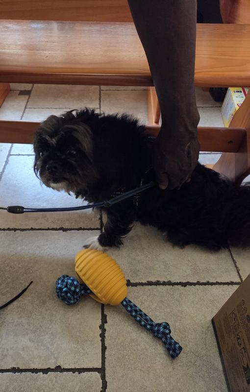 Unpleasant experience