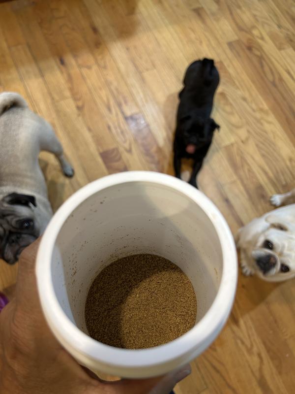 As soon as they hear me opening the jar, they come running