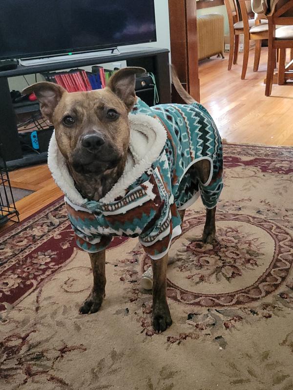 Frisco Fairisle Cozy Plush Fleece Dog & Cat PJs, Green