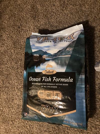 Victor ocean fish dog food sale