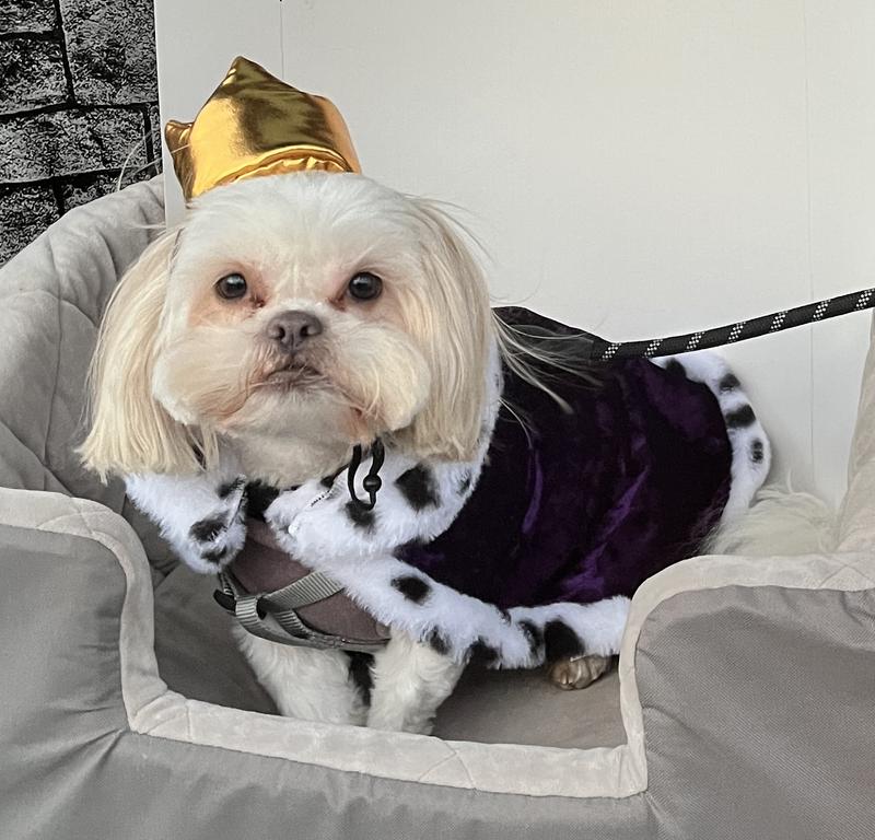 All hail to the king!