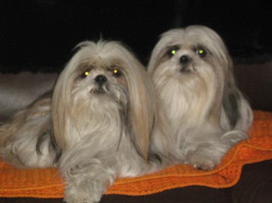 Spencer and Macy