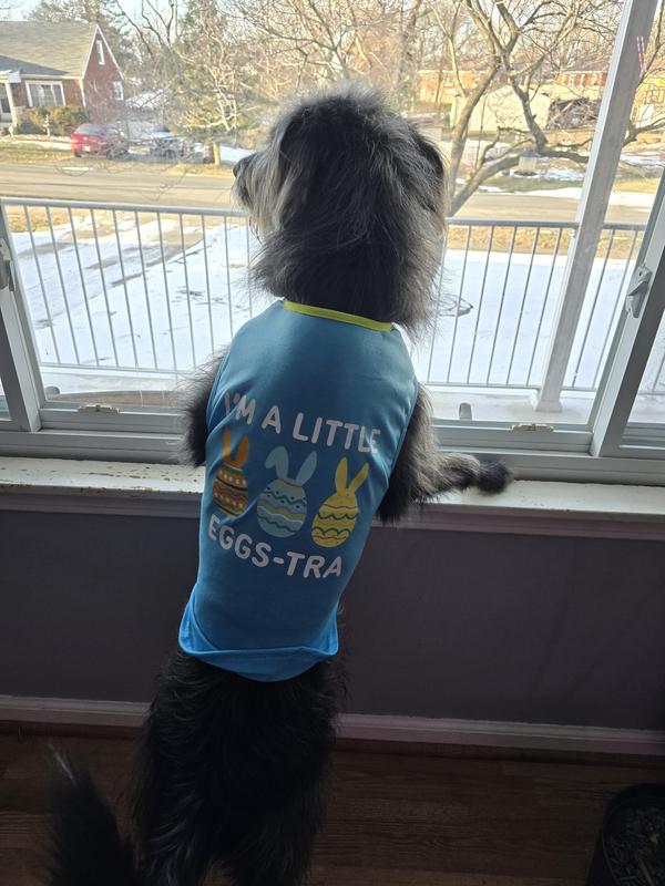 Typically a medium/large shirt... here in XL