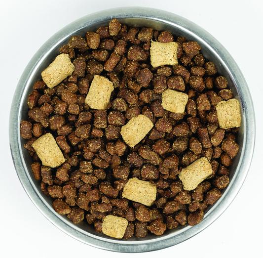 Stella & chewy's raw hotsell blend kibble