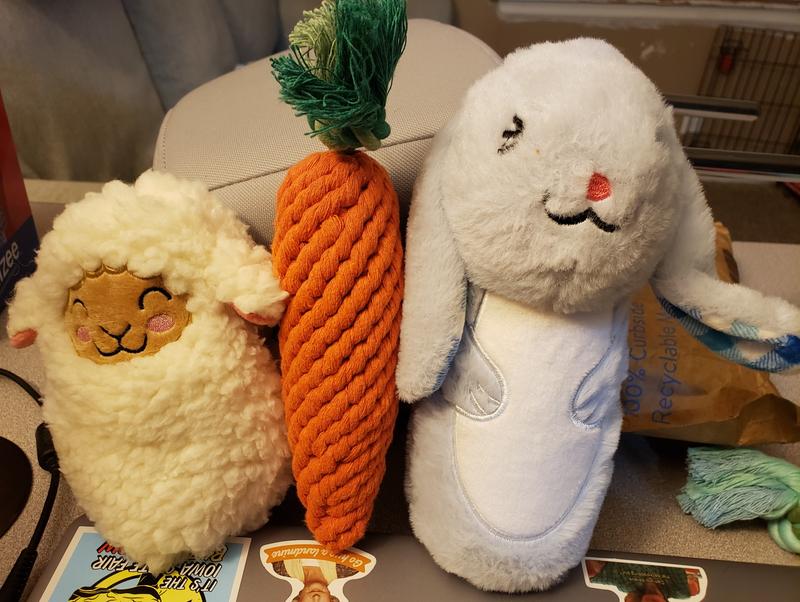 Lamb, carrot, bunny.