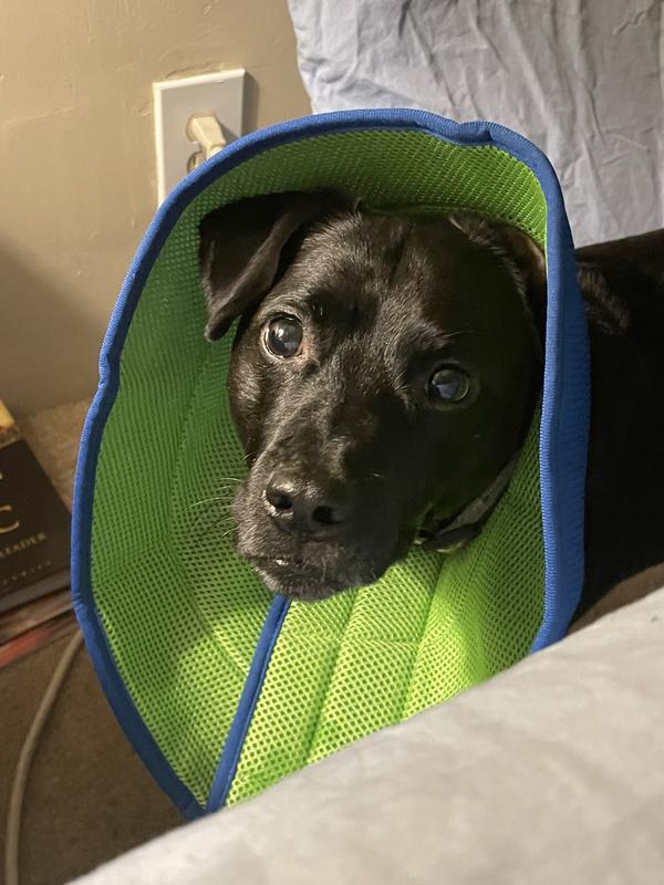 Bob in recovery after ACL surgery.