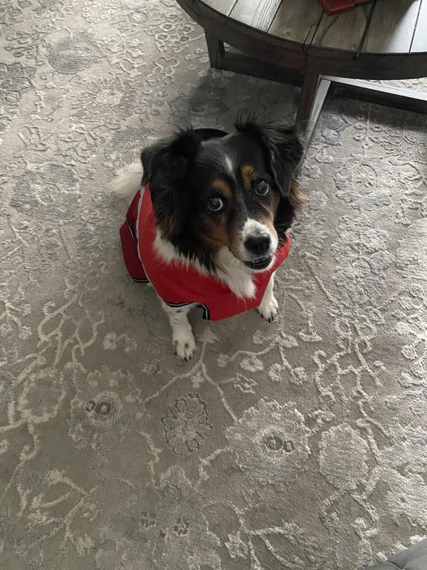 Ellie wearing her new coat