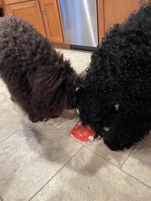 Hey, check this out!