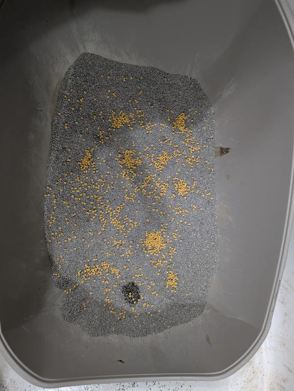 All 3 packages sprinkled on the litter is still not sufficient to cover.