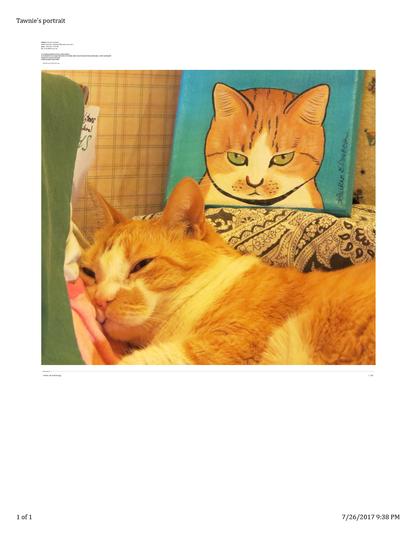 Tawnie Cat
