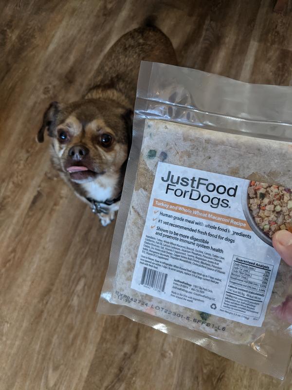 If Rue doesn't like something, he's NOT going to eat it