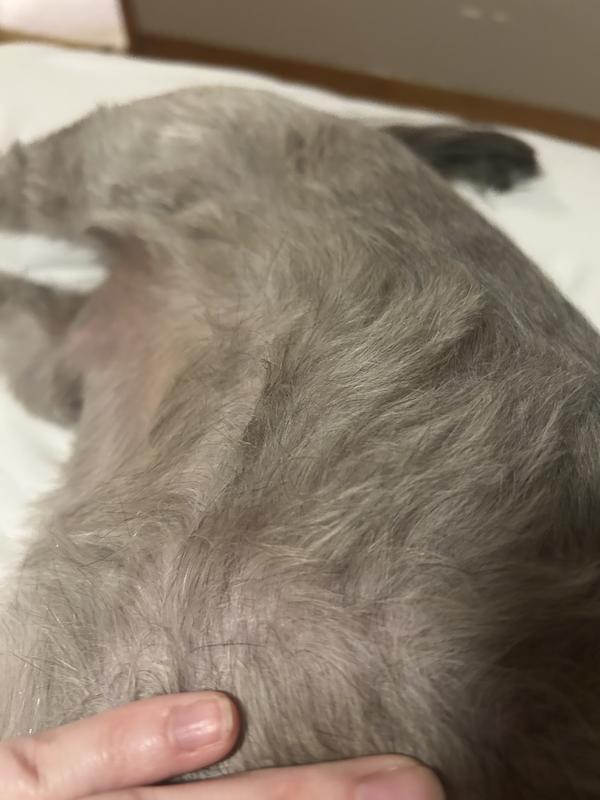 Not one dry spot on his entire body!