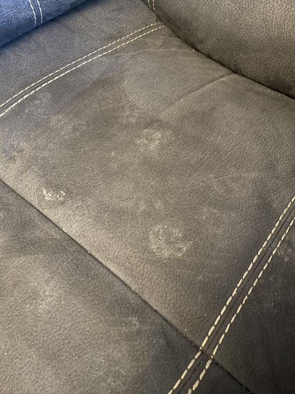 dust paw prints on couch