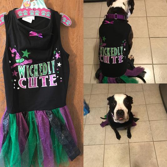 dog dress black Blank Dog Dress for Custom Printing | Pet Dress XS–3X main image 0