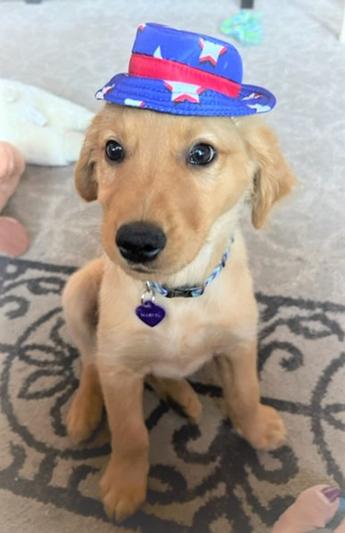 Marvel wearing his patriotic bucket hat!