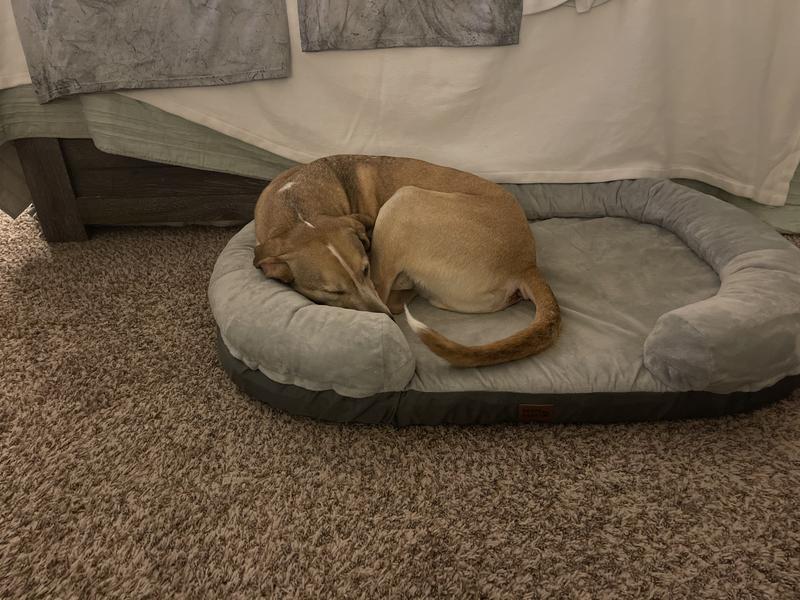 Didn’t bother him!