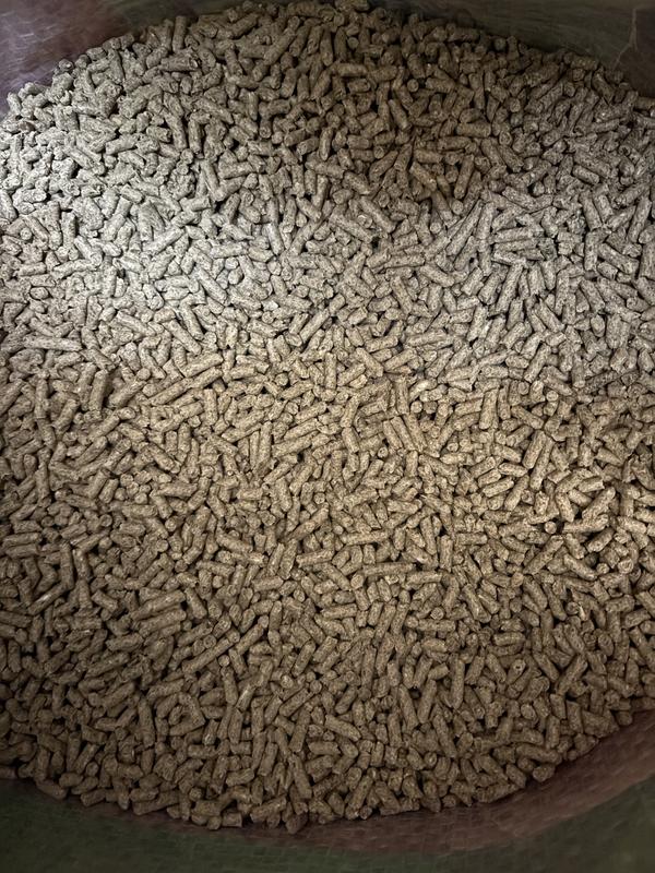 Not the same grain as I have been ordering for years.