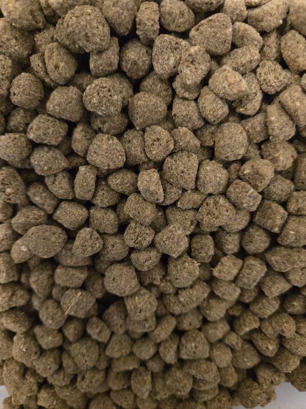 Temporarily Unavailable - EARTHBORN HOLISTIC Unrefined Roasted Rabbit ...