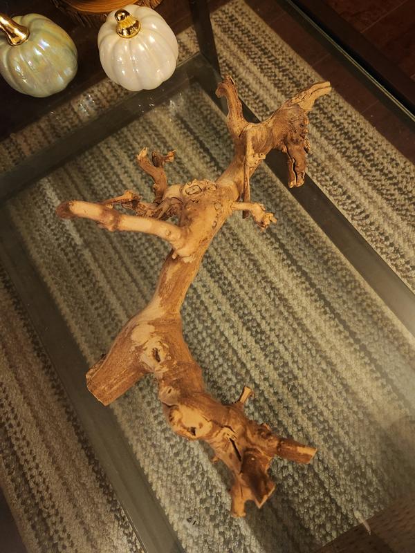 FRISCO Reptile Natural Grapevine Branch