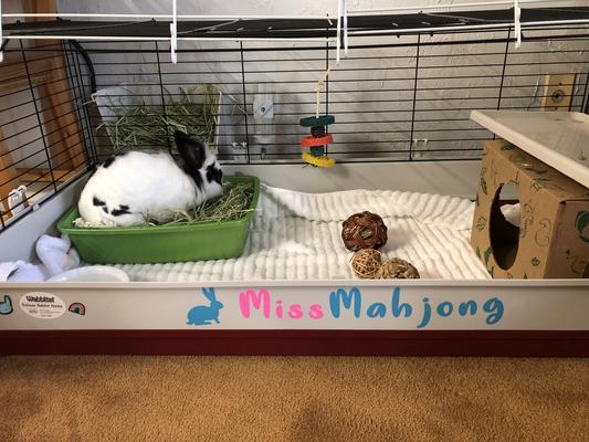 MidWest Wabbitat Deluxe Rabbit Home | Chewy (Free Shipping)