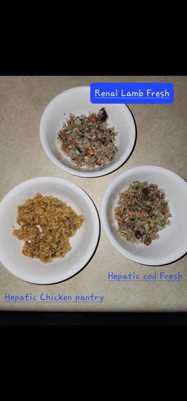 Just food for shop dogs renal diet