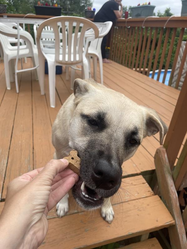 Getting her reward for being good.