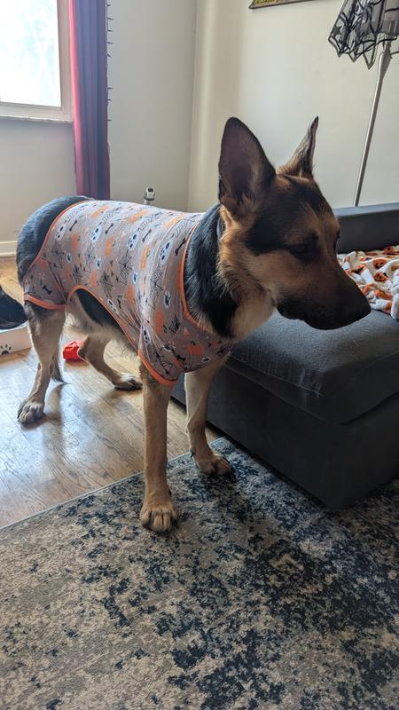 He looks embarrassed that he can't move