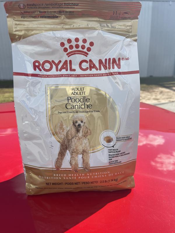 Royal canin clearance poodle 10 lbs