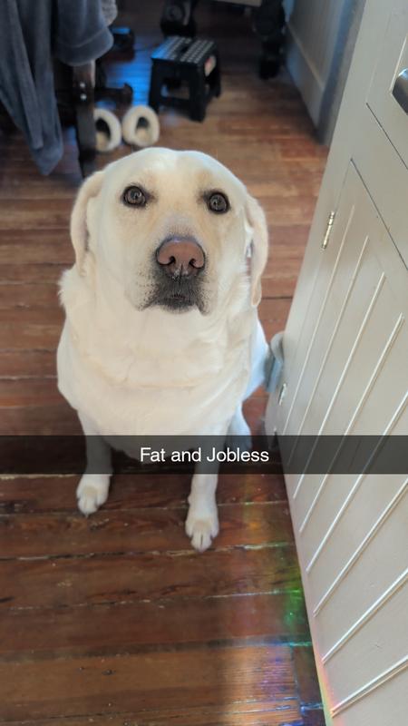 As you can see, she isn't a picky eater