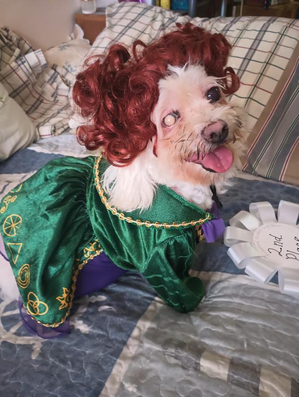 A cute little Winifred