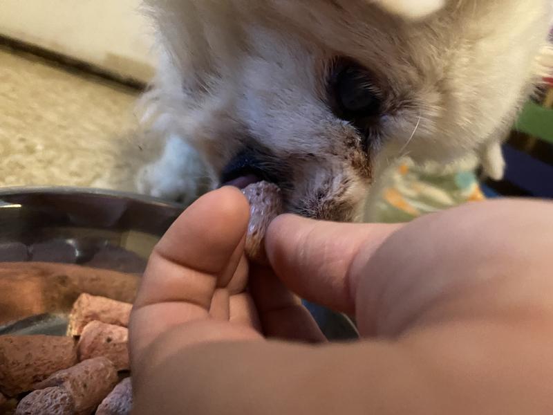 15yo toothless fiend