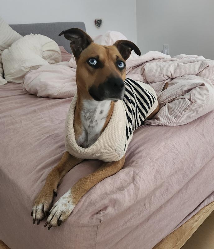 Clearly she is a fashionista!