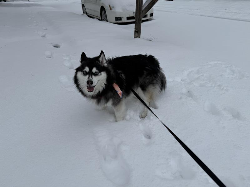 Playing in the snow!