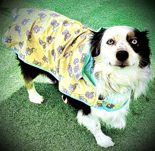 Chewy best sale dog raincoat