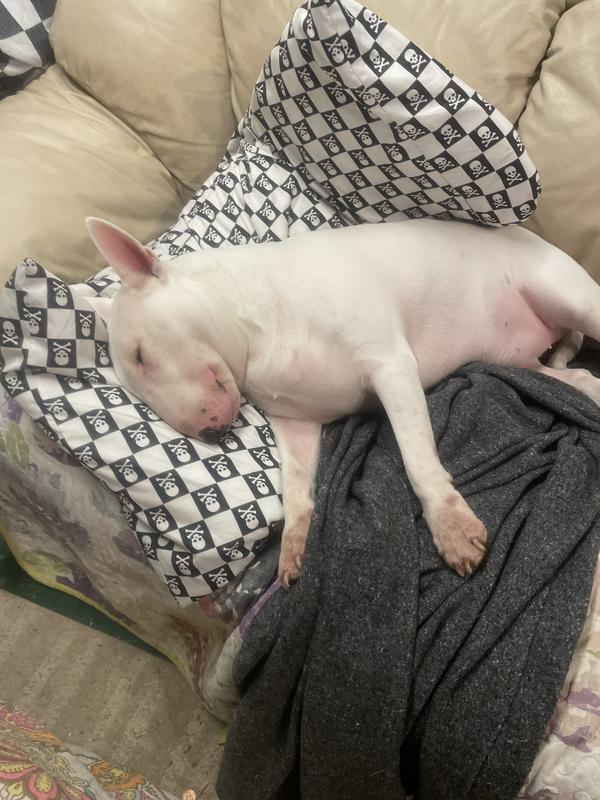 My dad almost loves me more than I love him