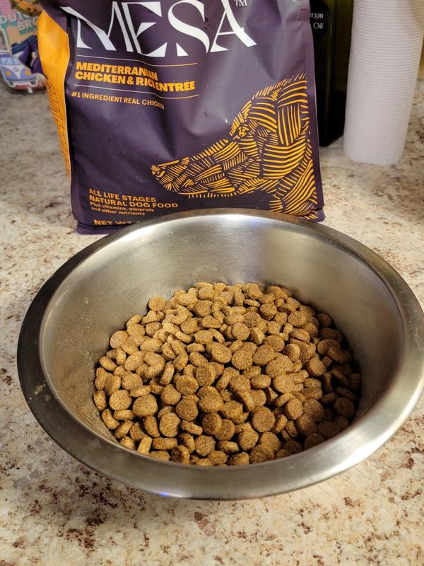 Kibble in bowl