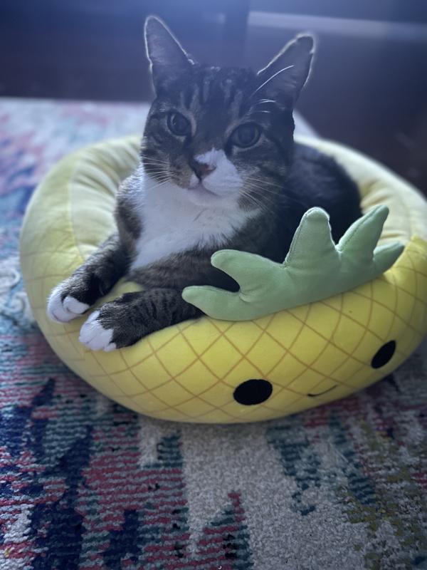 Squishmallow Pineapple Bed – The Fuzzy Paw