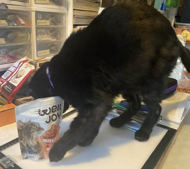 Petey and Zen enjoying their snack of Well Joy !