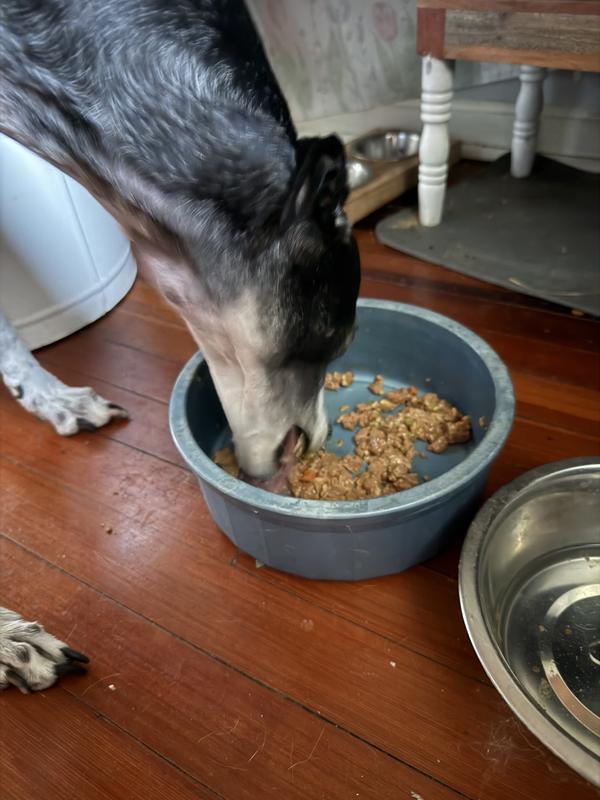 Can see some veggie chunks