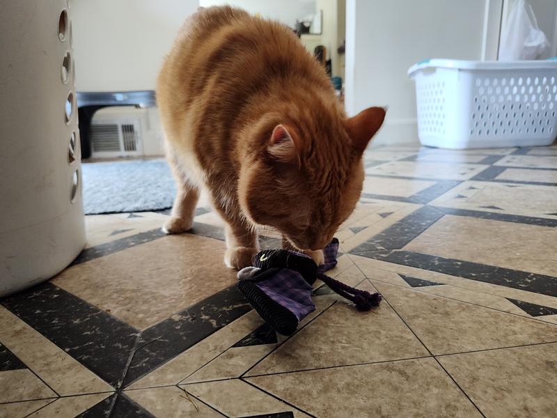 Frisco What a Hoot Cat Toy with Silvervine & Catnip